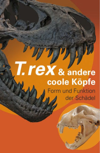 T. rex & andere coole Köpfe - Form und Funktion der Schädel / © 