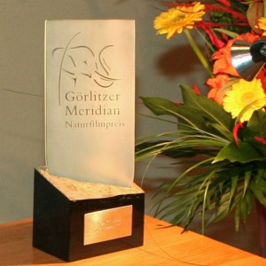 Zeigt den Preis